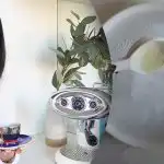 Dievča ukázalo, ako odstrániť škrabance na tanieroch: jej video sa