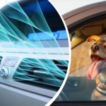 Horúčavy zasiahli Ukrajinu: ako rýchlo ochladiť interiér auta bez klimatizácie