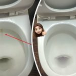 Jeden produkt vybieli toaletu do lesku: ako si poradiť s