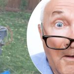 Podivný objav pri strome nechal susedku v rozpakoch: aké tajomstvo