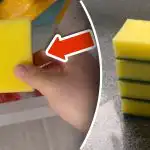 Prečo dávať špongiu do mrazničky: jednoduchý trik odstráni obrovský problém