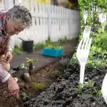 Susedia sa smiali, kým nevideli výsledok: prečo sú v záhrade