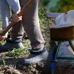 Výsevný kalendár na september 2025: čo treba urobiť v záhrade